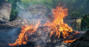 Le trafic illicite de déchets